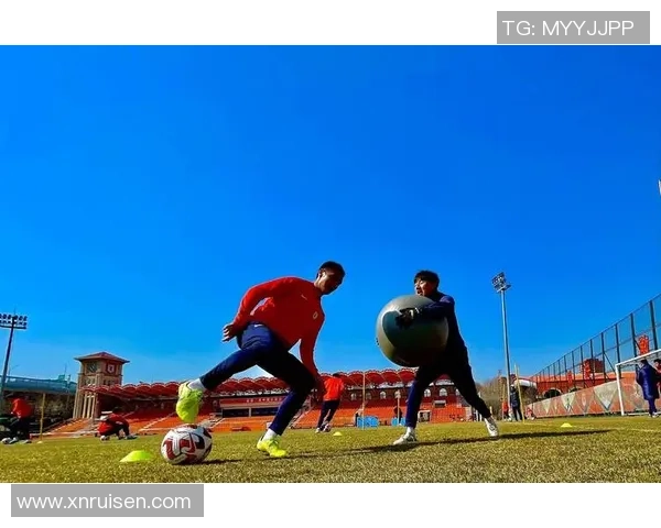 在绿茵场上追逐梦想的我心灵深处的独白与挣扎