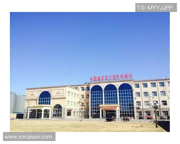 北京排球队在联合会杯中的辉煌历程与突破成就全景回顾