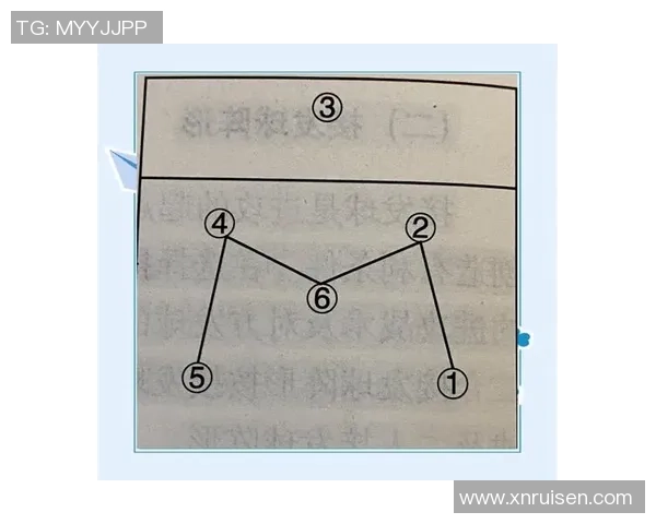广州排球队的速度提升与战术创新探讨