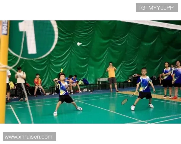 杭州羽毛球队在挑战赛中的心理素质分析与表现评估